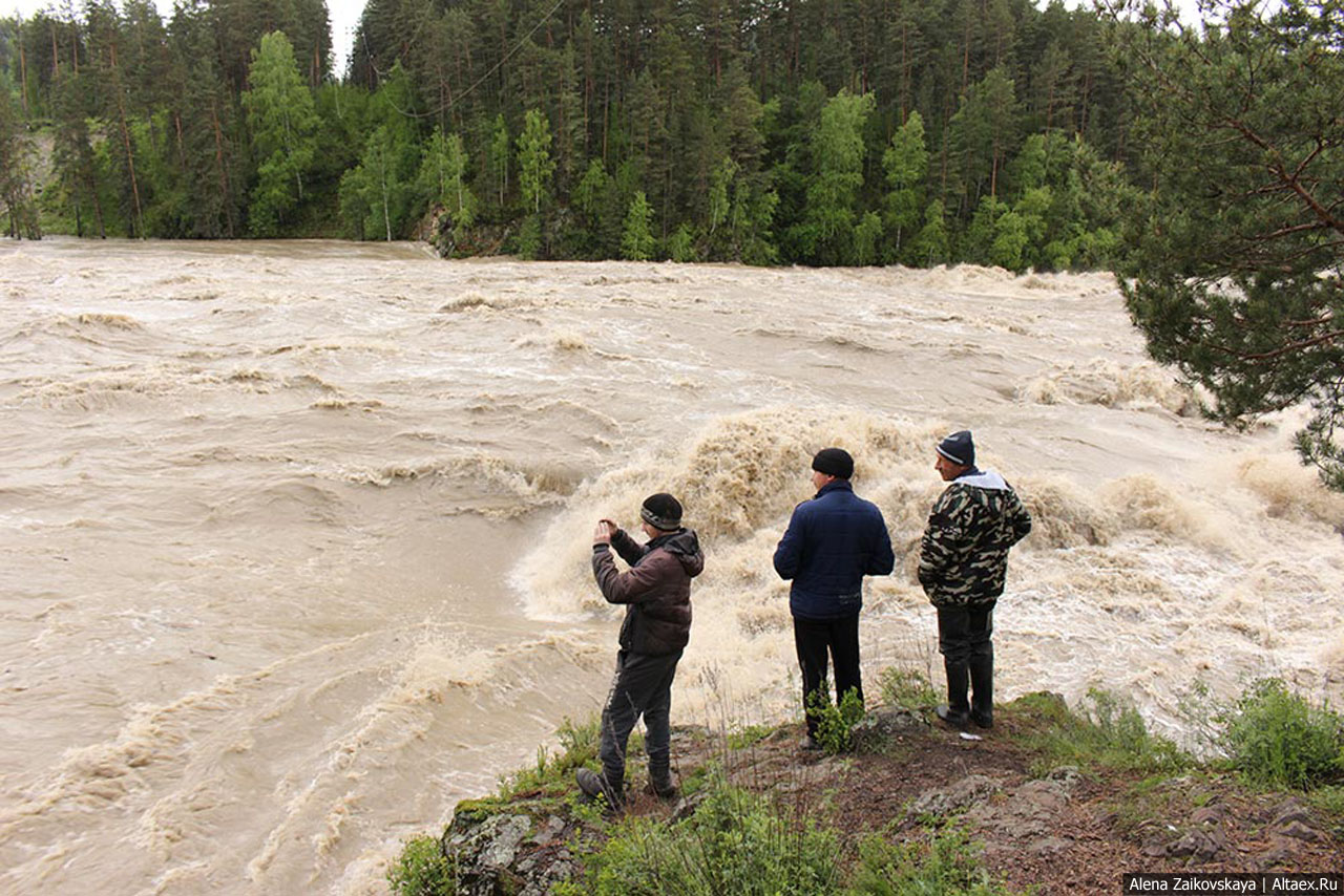 Когда приходит Водяной. Взгляд на наводнение 2014 года на Алтае изнутри.